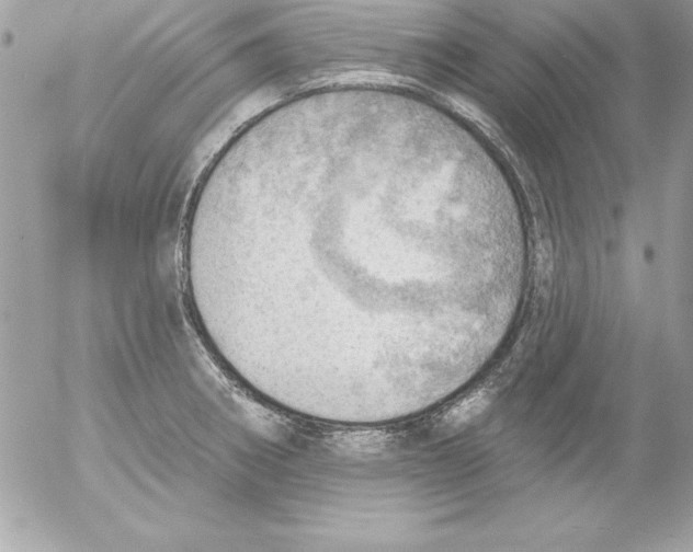 X0000054401282200508262222