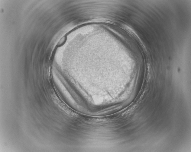 X0000054401284200508262222