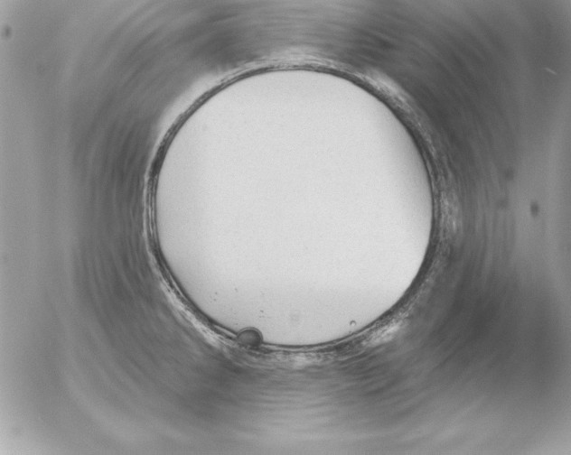 X0000054401286200508262221