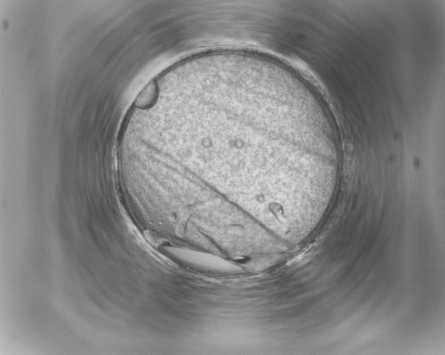 X0000054401287200508262221