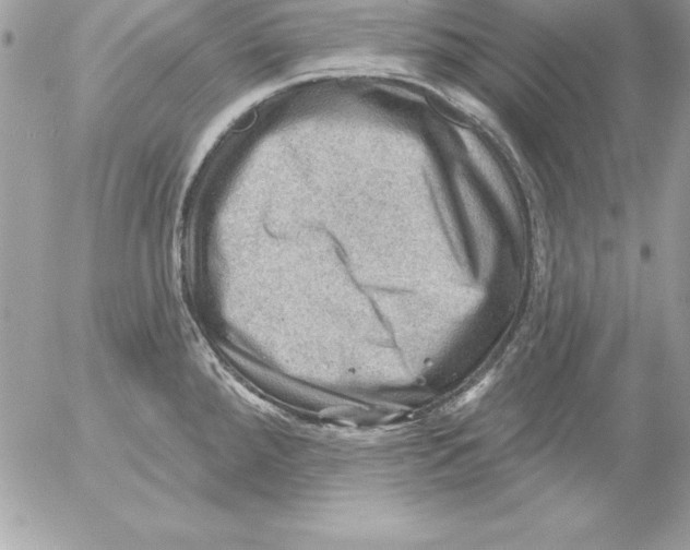 X0000054401288200508262221