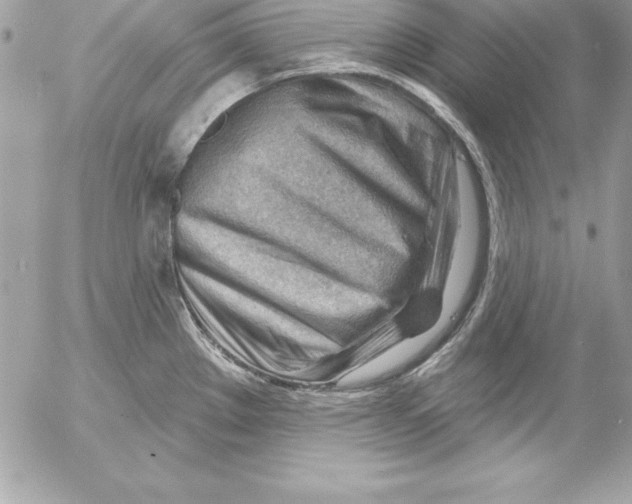 X0000054401289200508262221