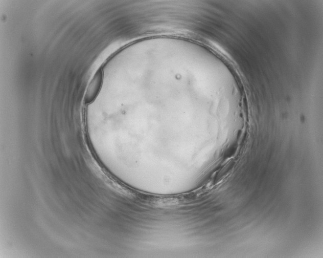 X0000054401291200508262221