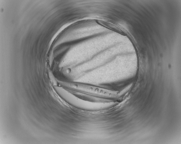 X0000054401292200508262221