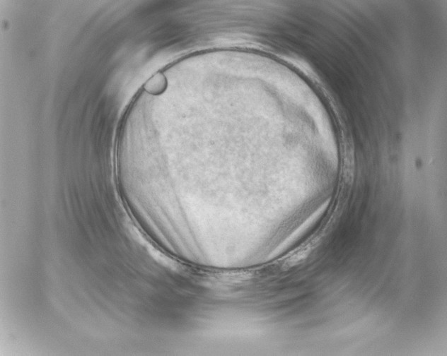 X0000054401294200508262221