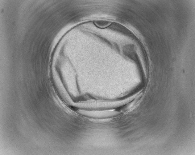 X0000054401296200508262221