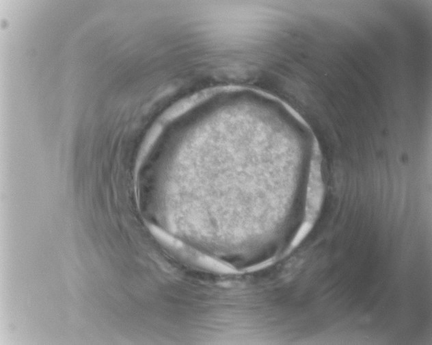 X0000054401297200508262221