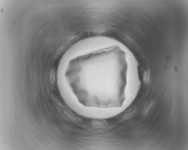 X0000054401299200508262221