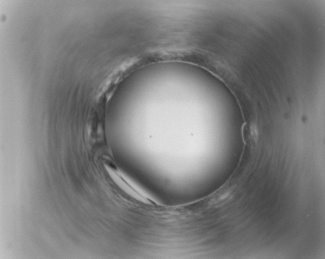 X0000054401300200508262221