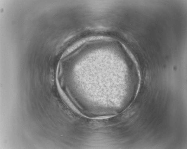 X0000054401301200508262221