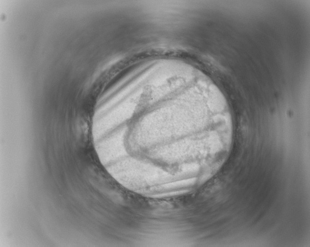 X0000054401302200508262221