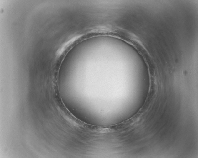 X0000054401304200508262221