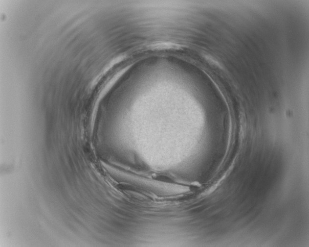 X0000054401305200508262221