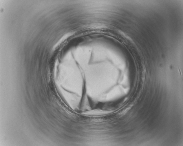 X0000054401306200508262221