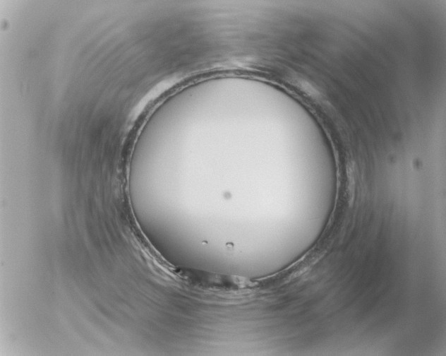 X0000054401308200508262221