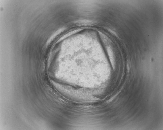 X0000054401309200508262221