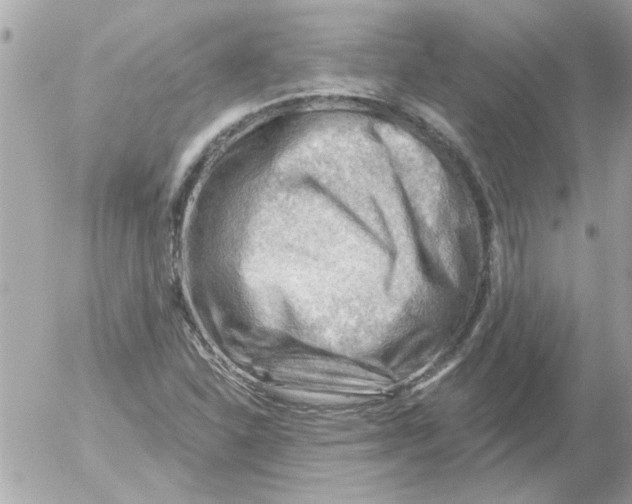 X0000054401310200508262221