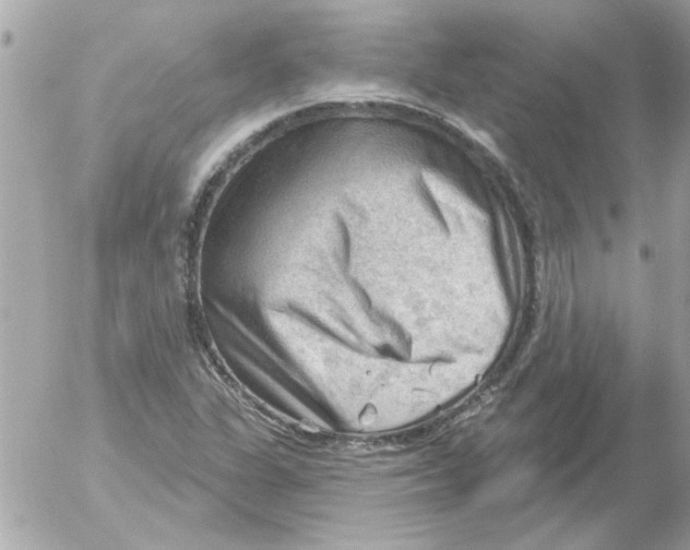 X0000054401311200508262221