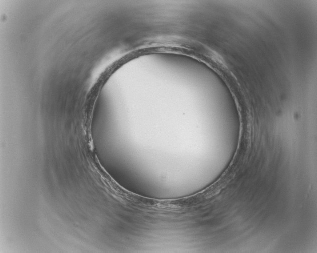 X0000054401312200508262221