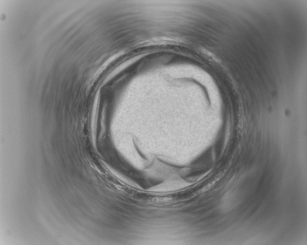 X0000054401313200508262221