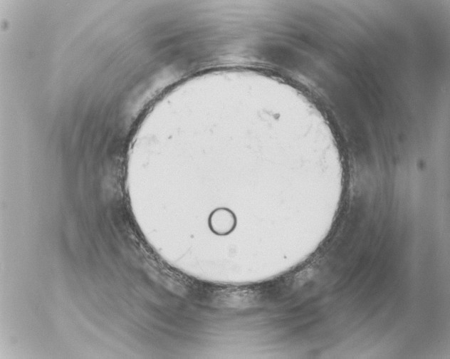 X0000054401314200508262221