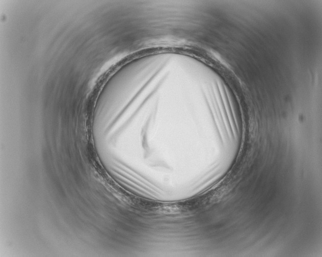 X0000054401315200508262221