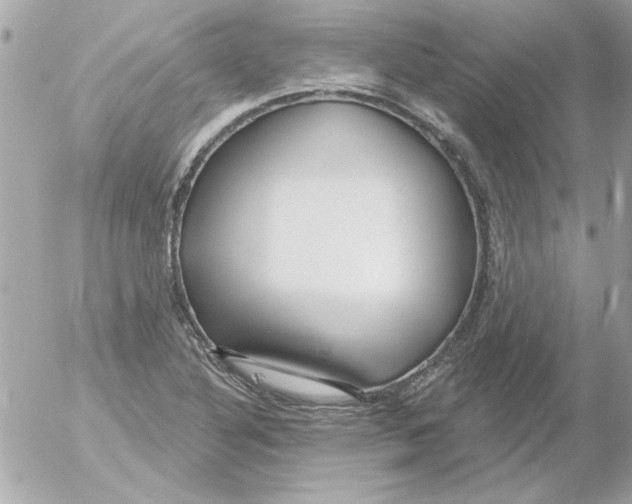 X0000054401316200508262221