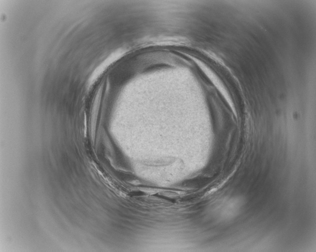 X0000054401317200508262221