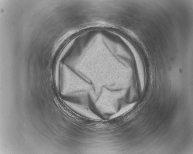 X0000054401318200508262221