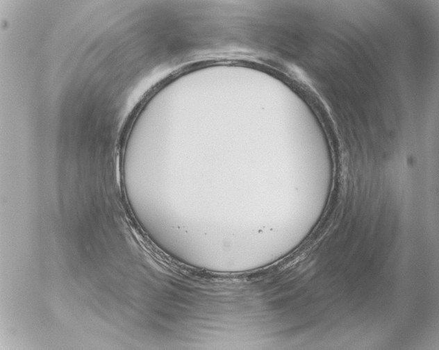 X0000054401320200508262221