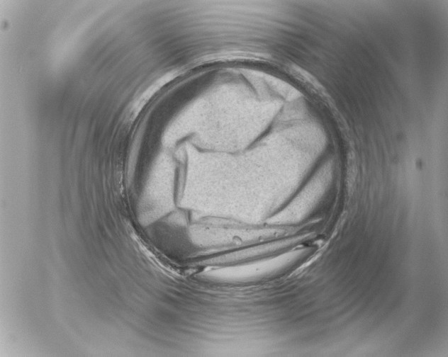 X0000054401321200508262221