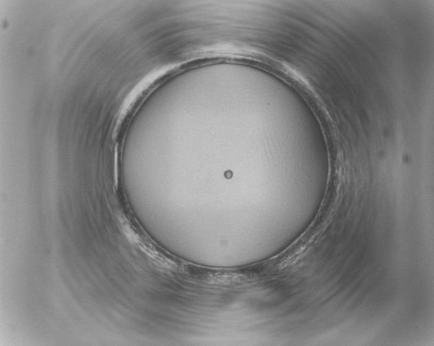 X0000054401323200508262221