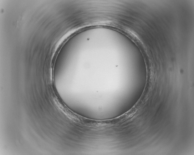 X0000054401324200508262221