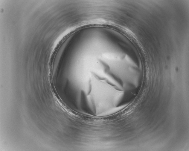 X0000054401326200508262221