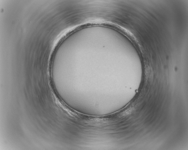 X0000054401327200508262221