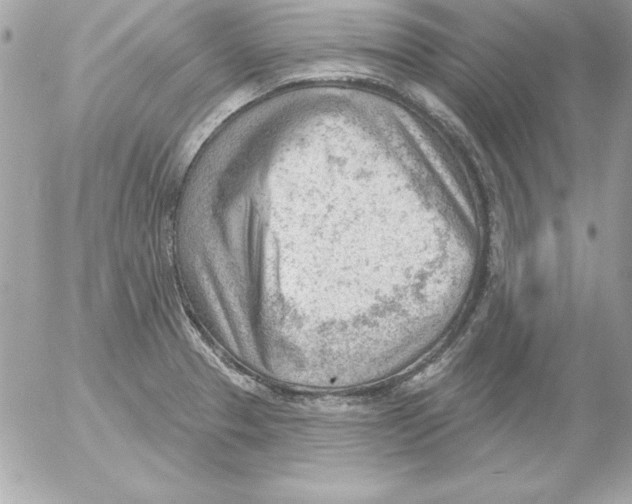 X0000054401329200508262221