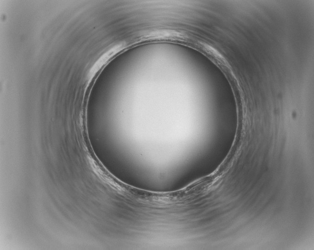 X0000054401330200508262221