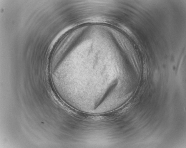 X0000054401331200508262221