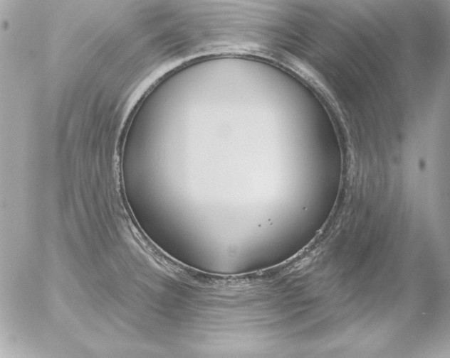 X0000054401332200508262221