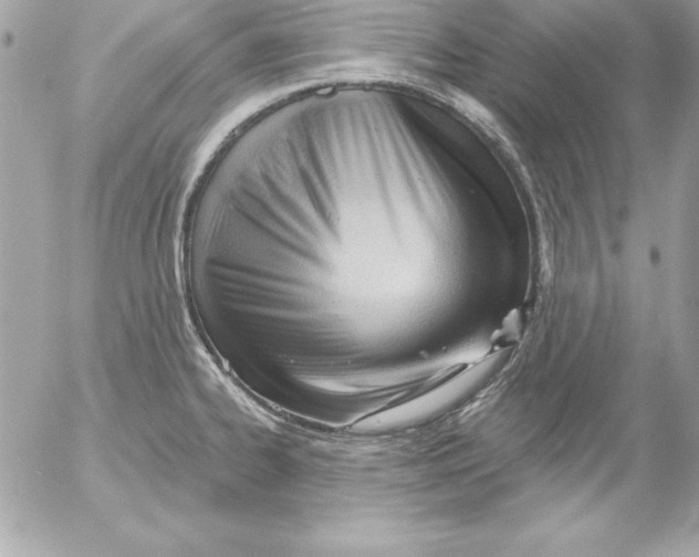 X0000054401334200508262221