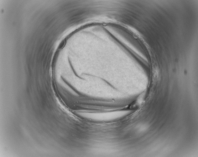 X0000054401335200508262221