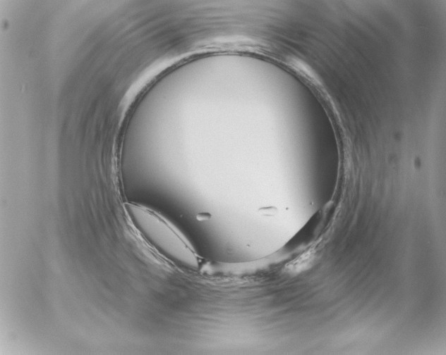 X0000054401336200508262221