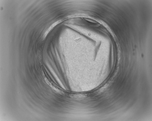 X0000054401337200508262221