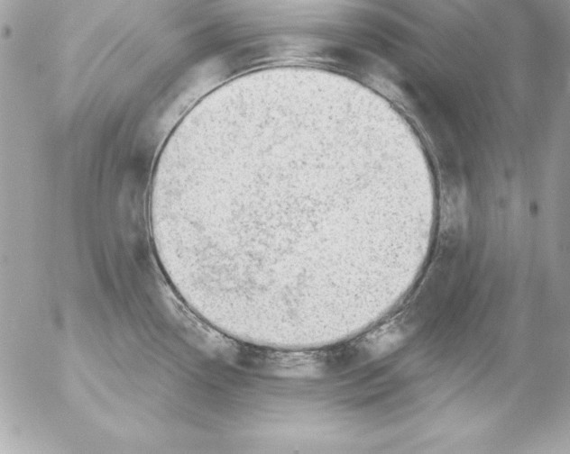 X0000054401338200508262221