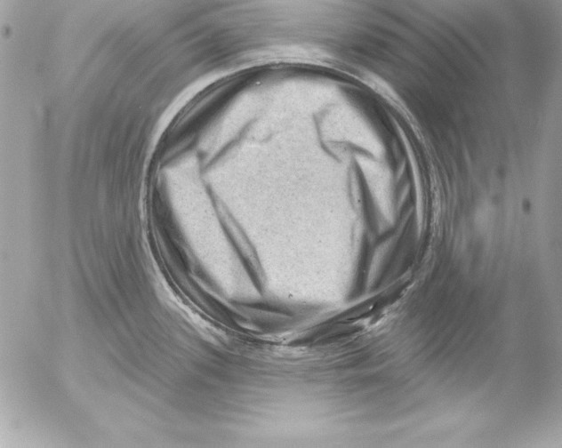 X0000054401339200508262221