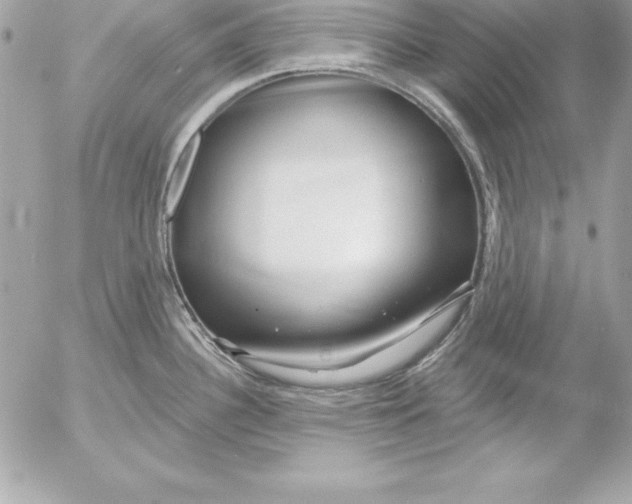 X0000054401340200508262221