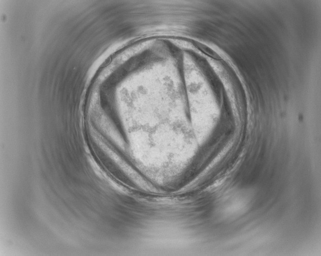 X0000054401341200508262221