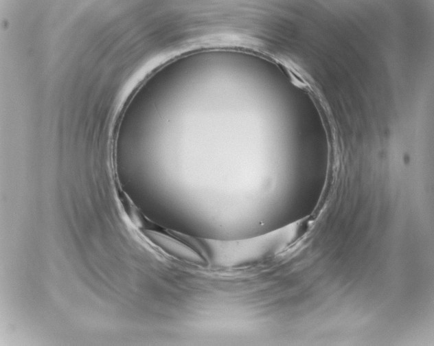 X0000054401342200508262221