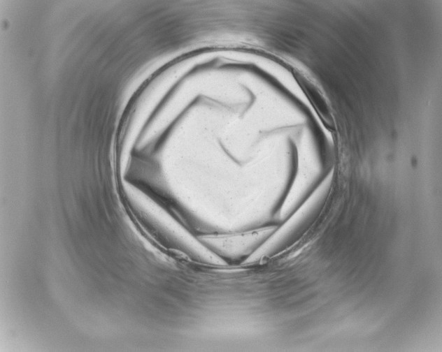 X0000054401343200508262221