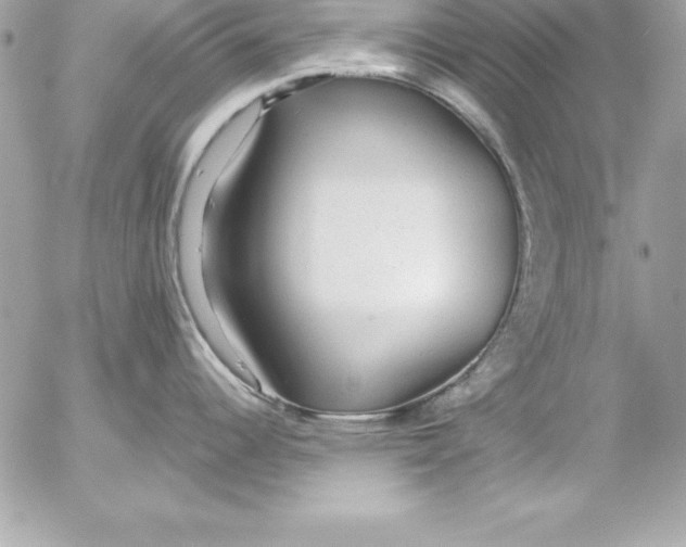 X0000054401344200508262221